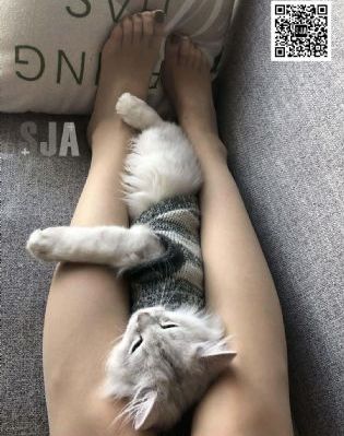 你所不知道的童话故事免费观看