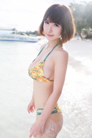 军官情人