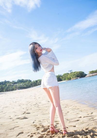 满江红在线