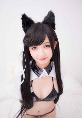 电视剧芝麻胡同免费观看全集