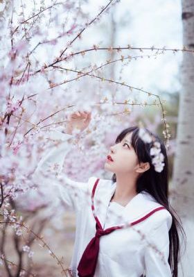 长乐曲免费观看